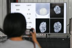 从“靠进口”到“树上熟”：三亚榴莲展示中国